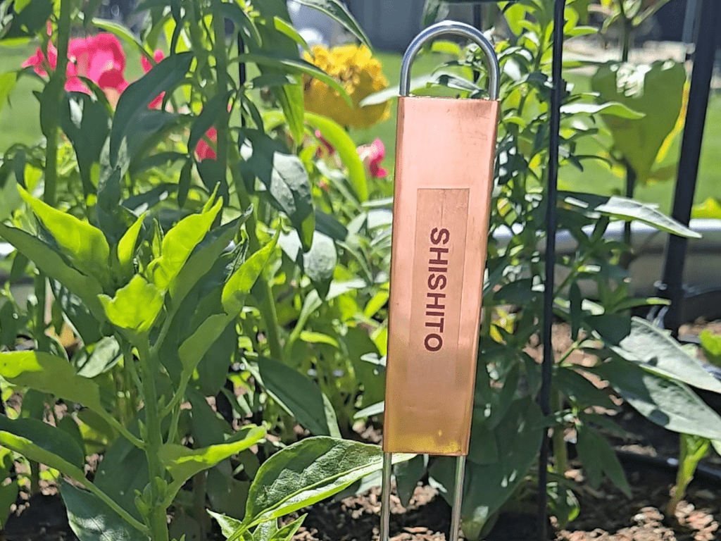Copper Plant tag for garden plant
