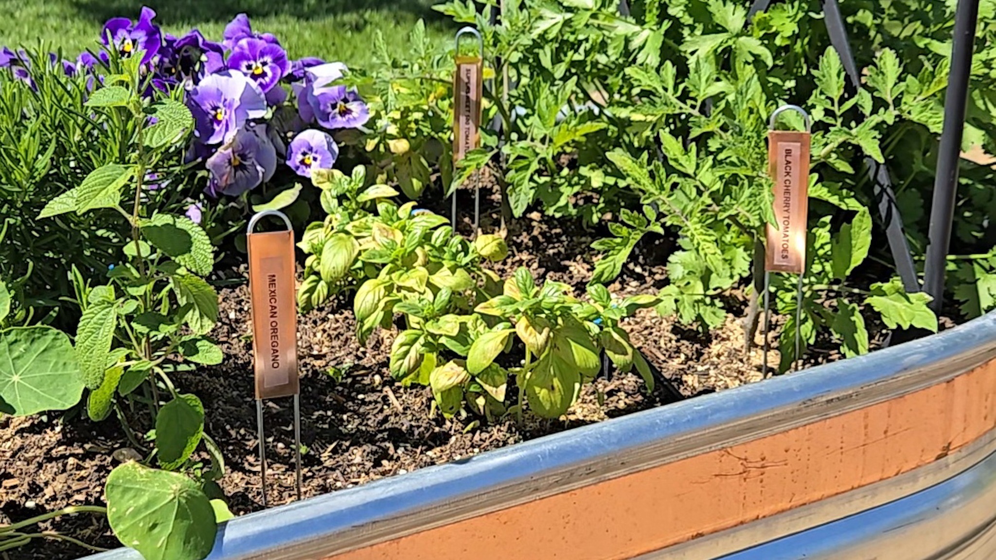 Raised galvanized stock tank garden bed with flowers, vegetable, and copper labels.